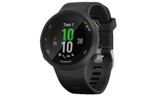 SMARTWATCH GARMIN FORERUNNER 45 / NEGRO