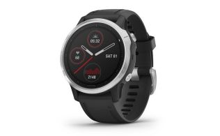 SMARTWATCH GARMIN FENIX 6S PLATA/NEGRO