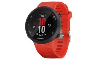 SMARTWATCH GARMIN FORERUNNER 45 / ROJO