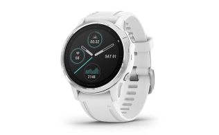 SMARTWATCH GARMIN FENIX 6S PLATA/BLANCO